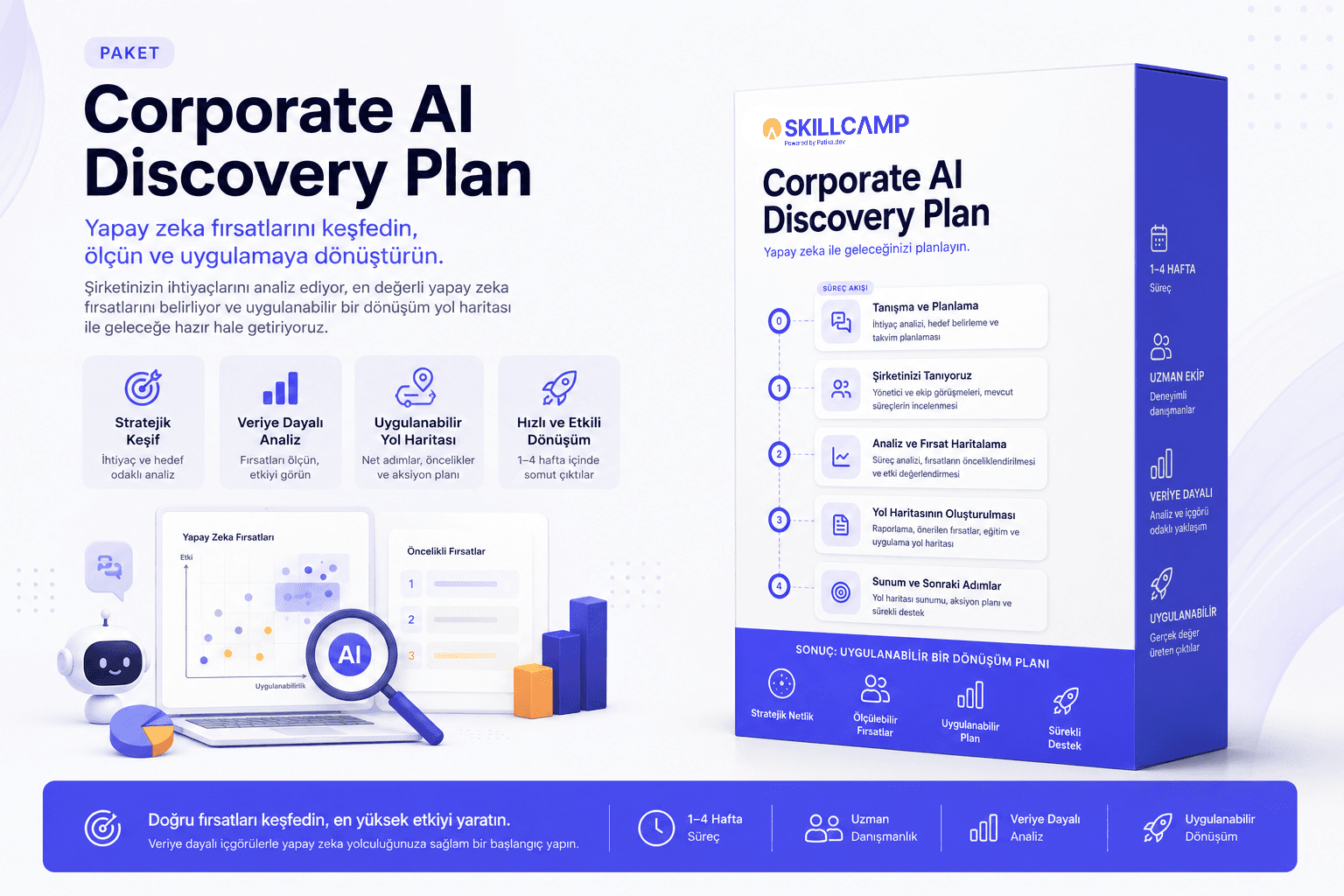 Corporate AI Discovery Plan